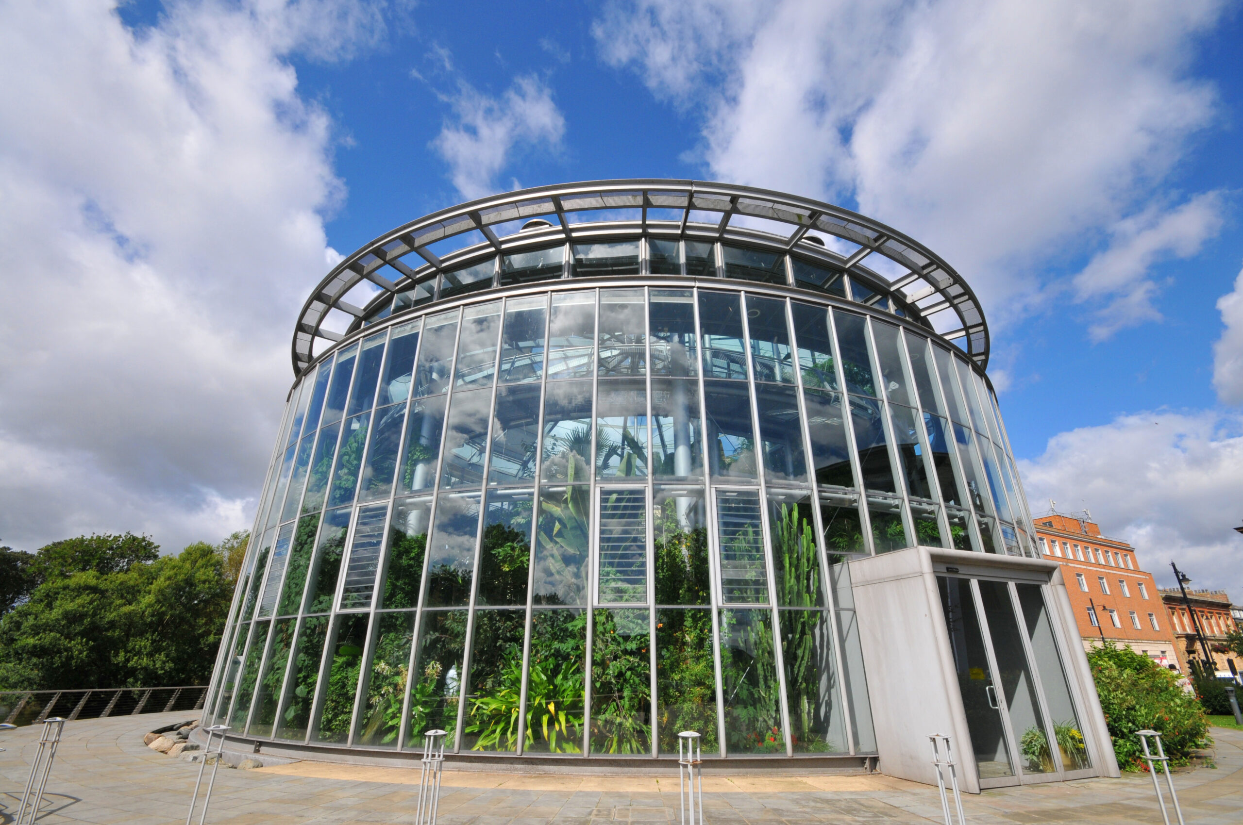 Sunderland Museum and Winter Gardens portfolio